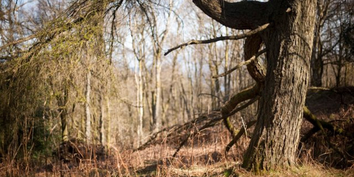 Dbol Cycle: Guide To Stacking, Dosages, And Side Effects