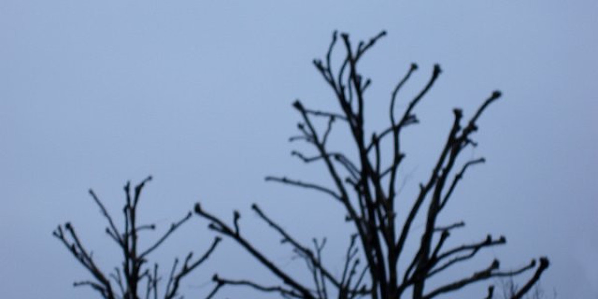 Start Your Winning Quest at Rocketplay