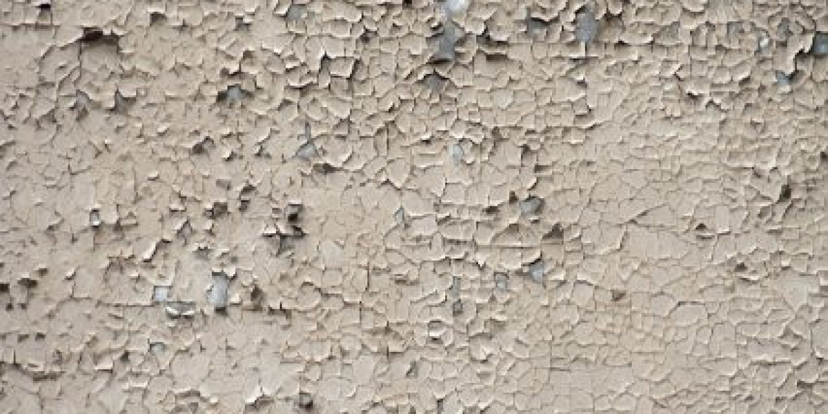 Casino Royale 2006 Streaming Where to Watch Online