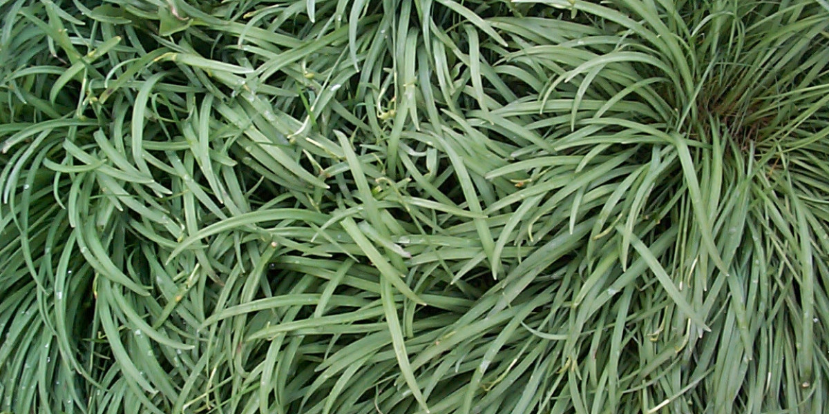 Meet the People Behind the Play