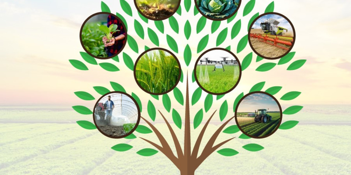 Catalyst Fertilizer Market Insights: Technology and Production 2035